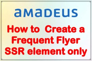 How to  Create a frequent flyer SSR element only