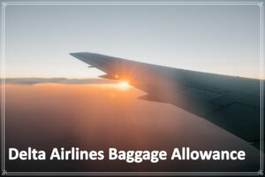 Delta Airlines Baggage Allowance
