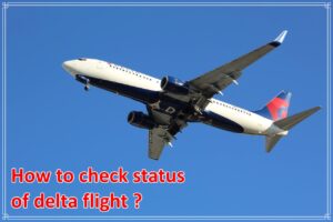 How to check status of delta flight?