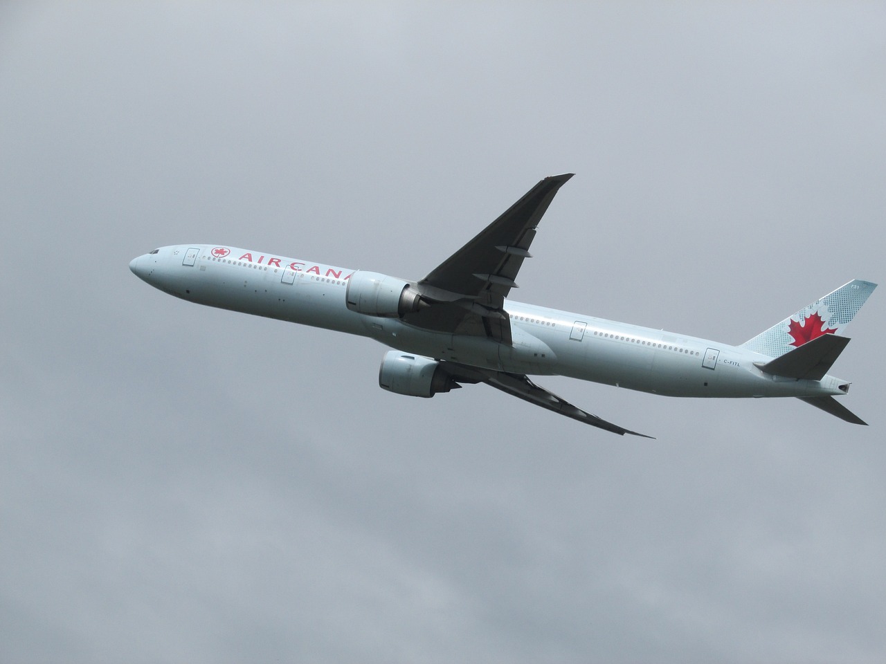 Air canada additional online baggage